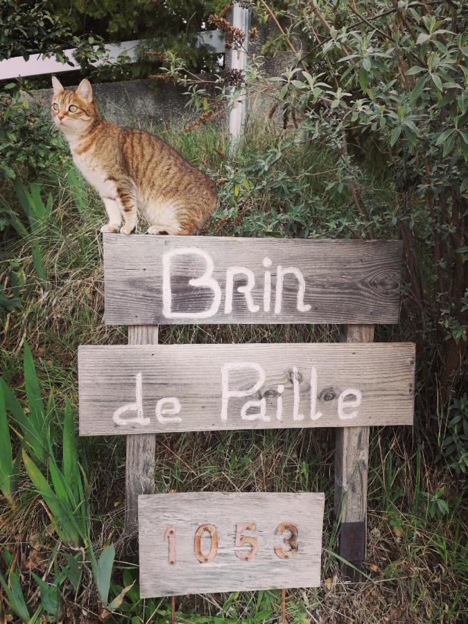 Brindepaille Bed & Breakfast Vallon-Pont-d'Arc Bagian luar foto